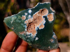 Polished on One Side Mtorolite Chrysoprase Slices x 24 From Mutorashanga, Zimbabwe - Toprock Gemstones and Minerals 