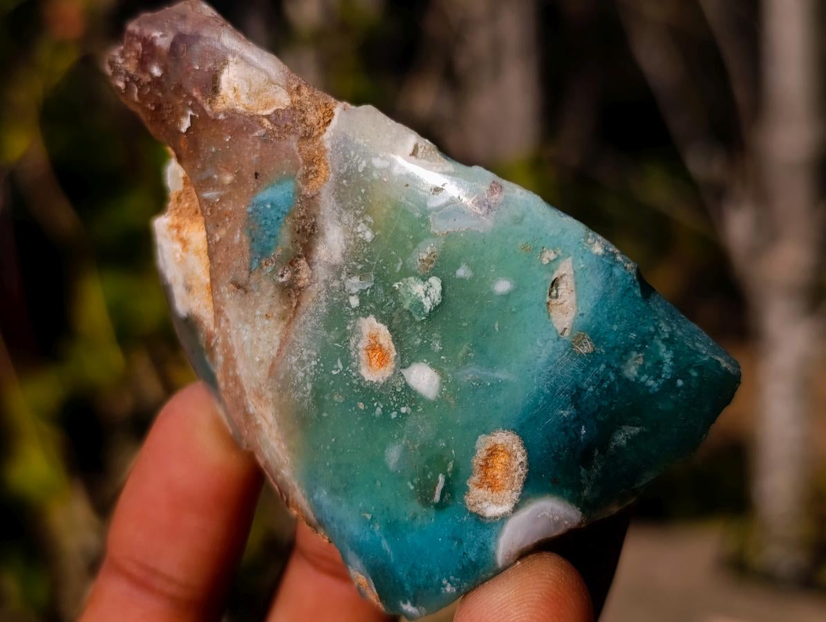 Polished on One Side Mtorolite Chrysoprase Slices x 24 From Mutorashanga, Zimbabwe - Toprock Gemstones and Minerals 