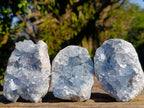 Natural Blue Celestite Specimens x 21 From Sakoany, Madagascar - Toprock Gemstones and Minerals 
