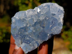 Natural Blue Celestite Specimens x 21 From Sakoany, Madagascar - Toprock Gemstones and Minerals 