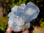 Natural Blue Celestite Specimens x 21 From Sakoany, Madagascar - Toprock Gemstones and Minerals 