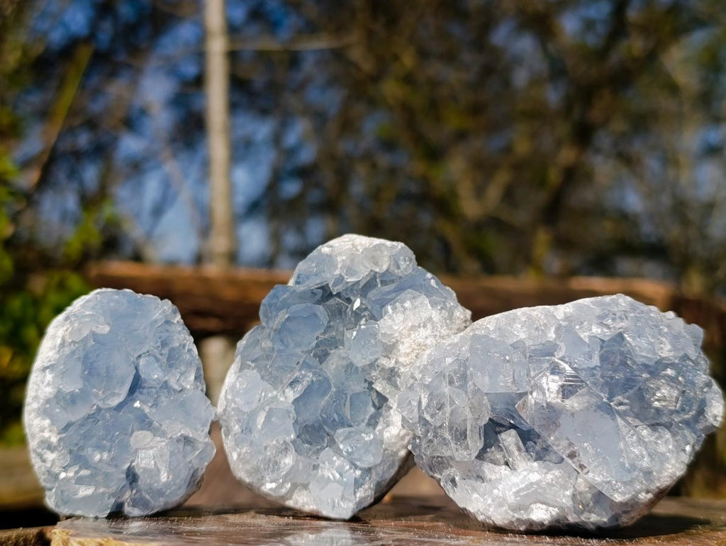 Natural Blue Celestite Specimens x 21 From Sakoany, Madagascar - Toprock Gemstones and Minerals 