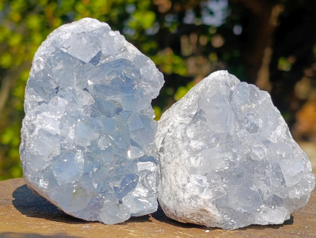 Natural Blue Celestite Specimens x 21 From Sakoany, Madagascar - Toprock Gemstones and Minerals 