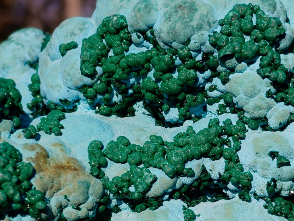 Natural Large Botryoidal Malacolla Specimens x 2 From Kulukuluku, Congo - Toprock Gemstones and Minerals 