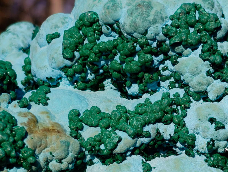 Natural Large Botryoidal Malacolla Specimens x 2 From Kulukuluku, Congo - Toprock Gemstones and Minerals 