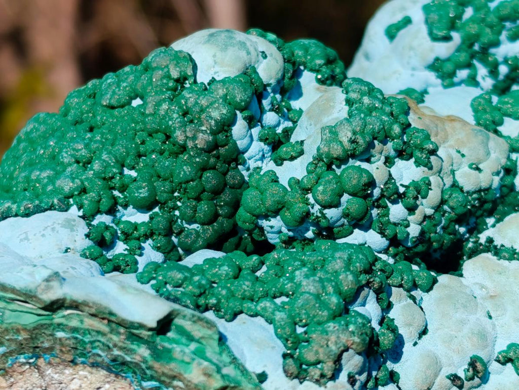 Natural Large Botryoidal Malacolla Specimens x 2 From Kulukuluku, Congo - Toprock Gemstones and Minerals 