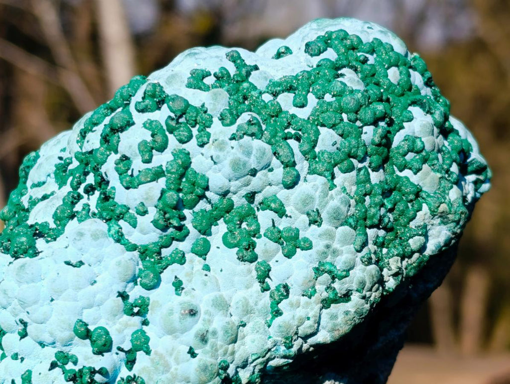 Natural Large Botryoidal Malacolla Specimens x 2 From Kulukuluku, Congo - Toprock Gemstones and Minerals 