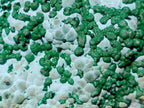 Natural Large Botryoidal Malacolla Specimens x 2 From Kulukuluku, Congo - Toprock Gemstones and Minerals 