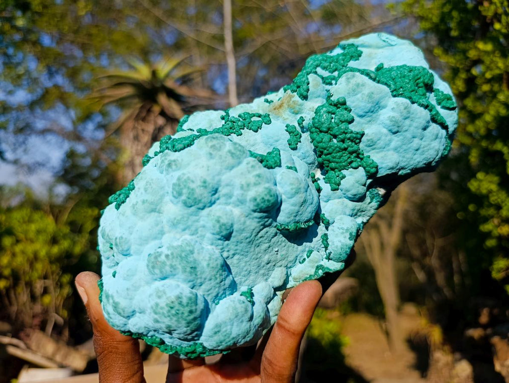 Natural Large Botryoidal Malacolla Specimens x 2 From Kulukuluku, Congo - Toprock Gemstones and Minerals 
