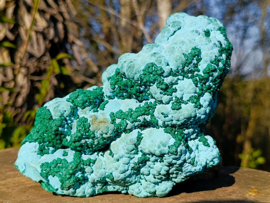 Natural Large Botryoidal Malacolla Specimens x 2 From Kulukuluku, Congo - Toprock Gemstones and Minerals 