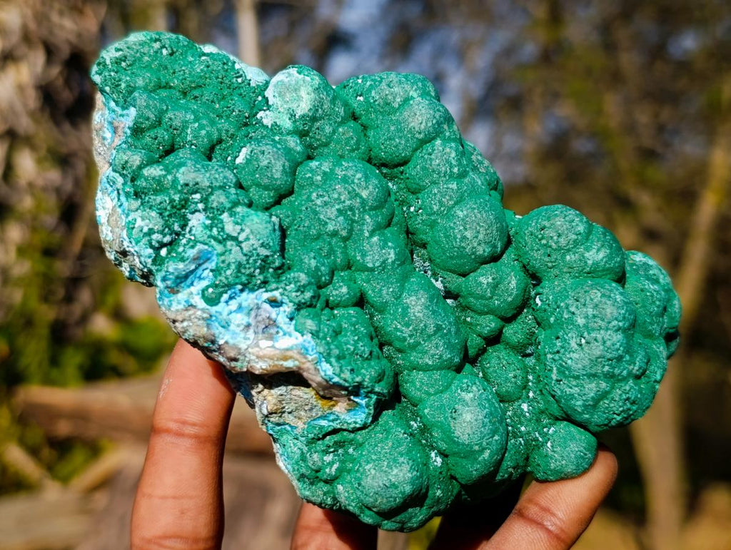 Natural Large Botryoidal Malacolla Specimens x 2 From Kulukuluku, Congo - Toprock Gemstones and Minerals 