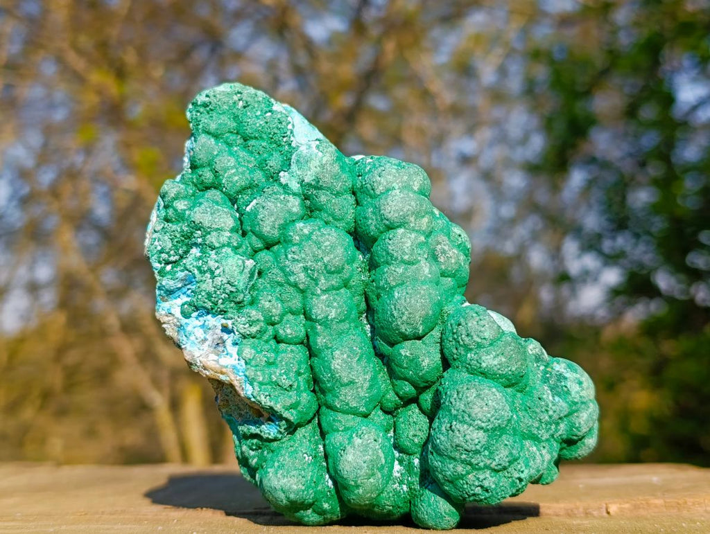 Natural Large Botryoidal Malacolla Specimens x 2 From Kulukuluku, Congo - Toprock Gemstones and Minerals 