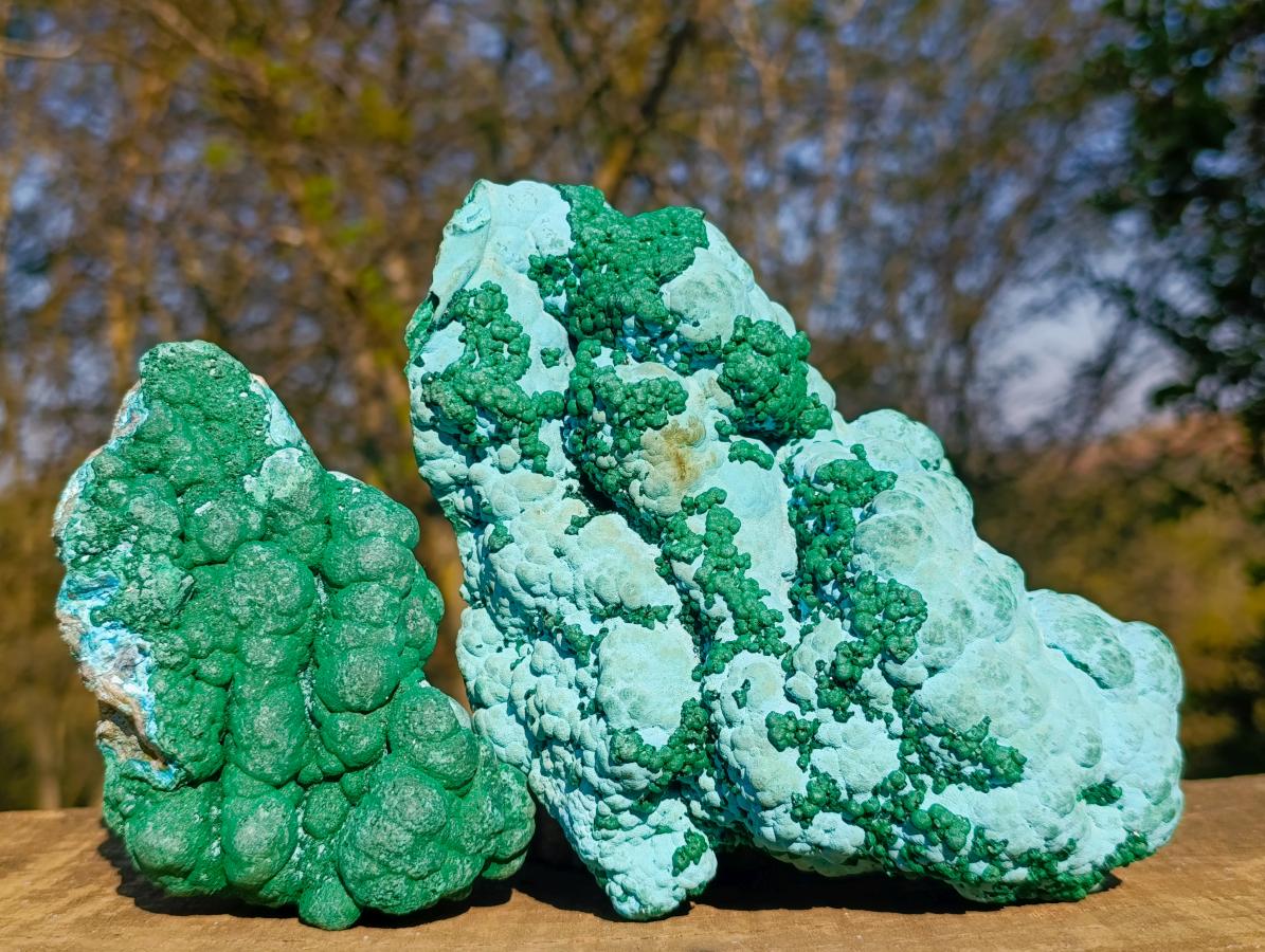 Natural Large Botryoidal Malacolla Specimens x 2 From Kulukuluku, Congo - Toprock Gemstones and Minerals 