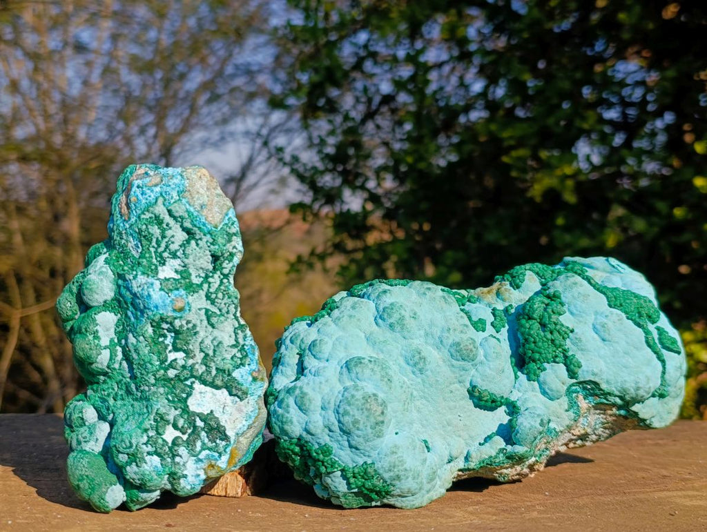 Natural Large Botryoidal Malacolla Specimens x 2 From Kulukuluku, Congo - Toprock Gemstones and Minerals 