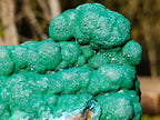 Natural Large Botryoidal Malacolla Specimens x 2 From Kulukuluku, Congo - Toprock Gemstones and Minerals 