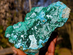 Natural Large Botryoidal Malacolla Specimens x 2 From Kulukuluku, Congo - Toprock Gemstones and Minerals 