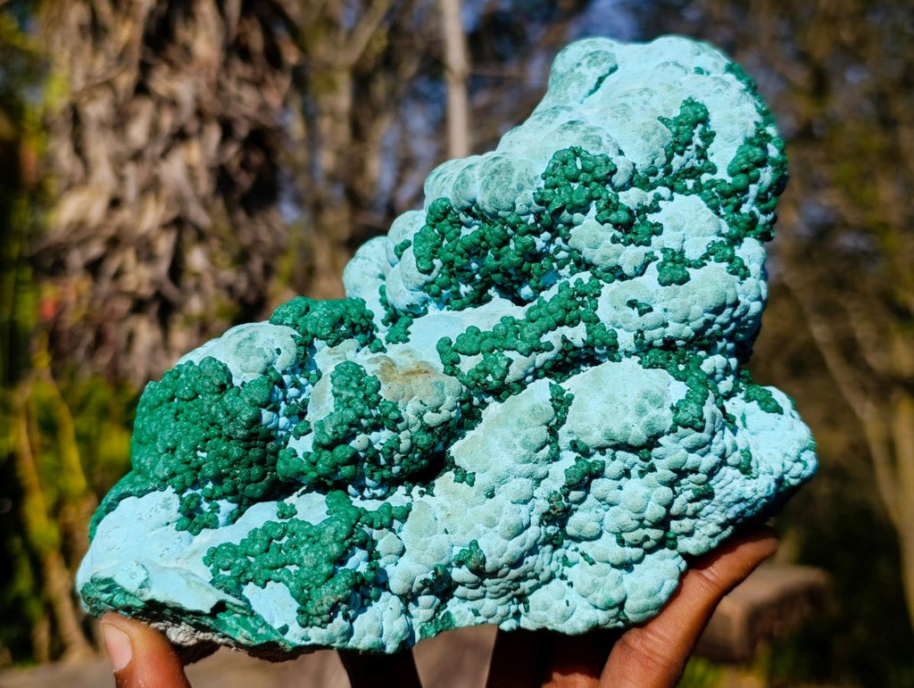 Natural Large Botryoidal Malacolla Specimens x 2 From Kulukuluku, Congo - Toprock Gemstones and Minerals 