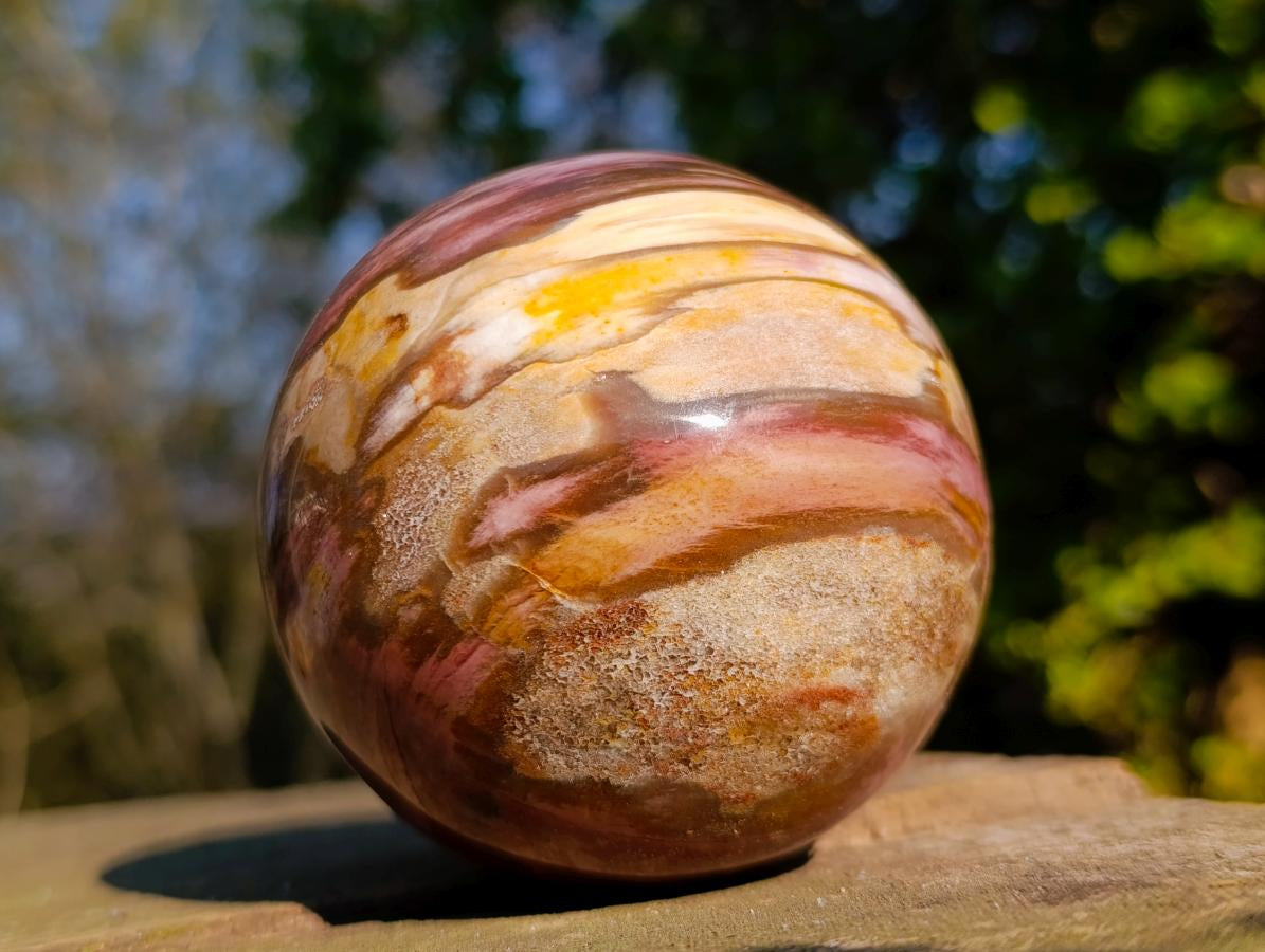 Polished Red Podocarpus Petrified Wood Spheres x 2 From Mahajanga, Madagascar - Toprock Gemstones and Minerals 
