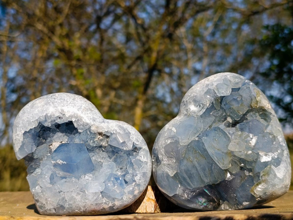 Polished Blue Celestite Hearts x 2 From Sakoany, Madagascar - Toprock Gemstones and Minerals 