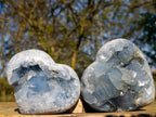 Polished Blue Celestite Hearts x 2 From Sakoany, Madagascar - Toprock Gemstones and Minerals 