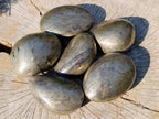 Polished Basalt Pharaoh Stone Free Forms x 6 From Iron Duke Mine, Zimbabwe - Toprock Gemstones and Minerals 