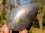 Polished Basalt Pharaoh Stone Free Forms x 6 From Iron Duke Mine, Zimbabwe - Toprock Gemstones and Minerals 