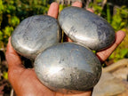 Polished Basalt Pharaoh Stone Free Forms x 6 From Iron Duke Mine, Zimbabwe - Toprock Gemstones and Minerals 