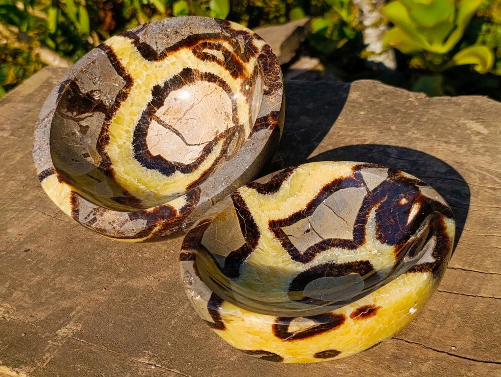 Polished Septerye Bowls x 2 From Mahajanga, Madagascar - Toprock Gemstones and Minerals 