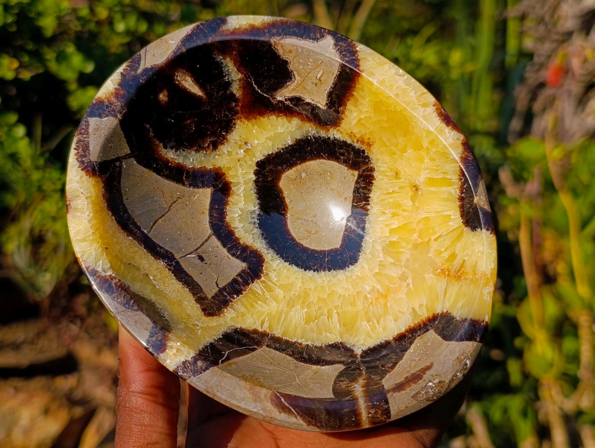 Polished Septerye Bowls x 2 From Mahajanga, Madagascar - Toprock Gemstones and Minerals 