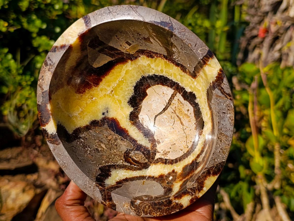 Polished Septerye Bowls x 2 From Mahajanga, Madagascar - Toprock Gemstones and Minerals 