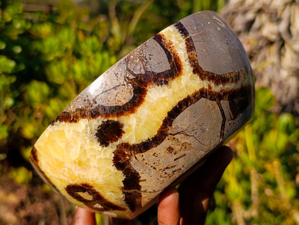 Polished Septerye Bowls x 2 From Mahajanga, Madagascar - Toprock Gemstones and Minerals 