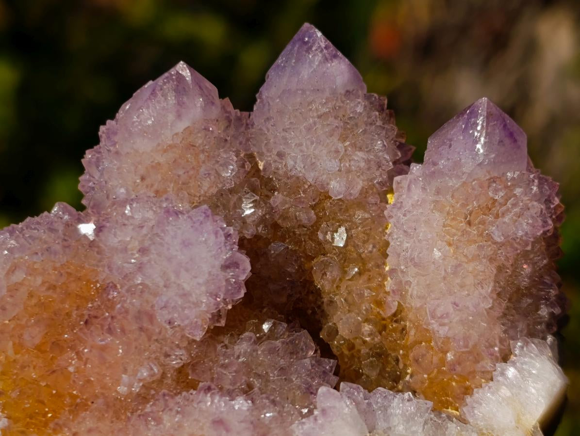 Natural Spirit Ametrine Clusters x 6 From Boekenhouthoek, South Africa - Toprock Gemstones and Minerals 