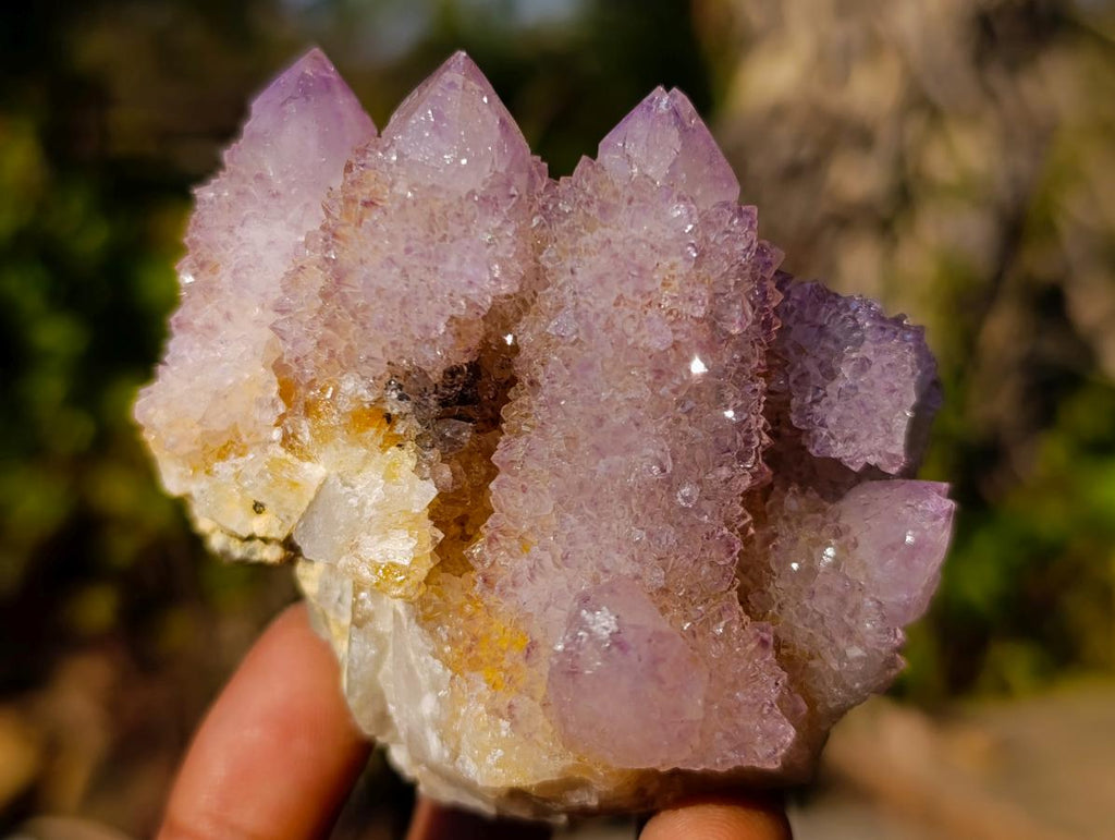 Natural Spirit Ametrine Clusters x 6 From Boekenhouthoek, South Africa - Toprock Gemstones and Minerals 
