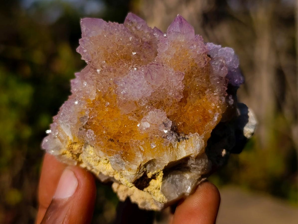 Natural Spirit Ametrine Clusters x 6 From Boekenhouthoek, South Africa - Toprock Gemstones and Minerals 