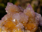 Natural Spirit Ametrine Clusters x 6 From Boekenhouthoek, South Africa - Toprock Gemstones and Minerals 
