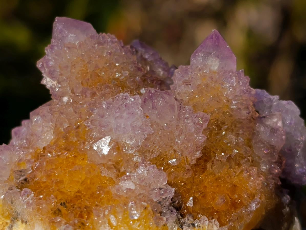 Natural Spirit Ametrine Clusters x 6 From Boekenhouthoek, South Africa - Toprock Gemstones and Minerals 