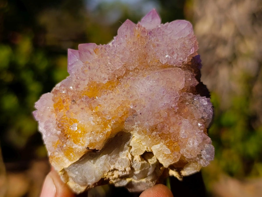 Natural Spirit Ametrine Clusters x 6 From Boekenhouthoek, South Africa - Toprock Gemstones and Minerals 