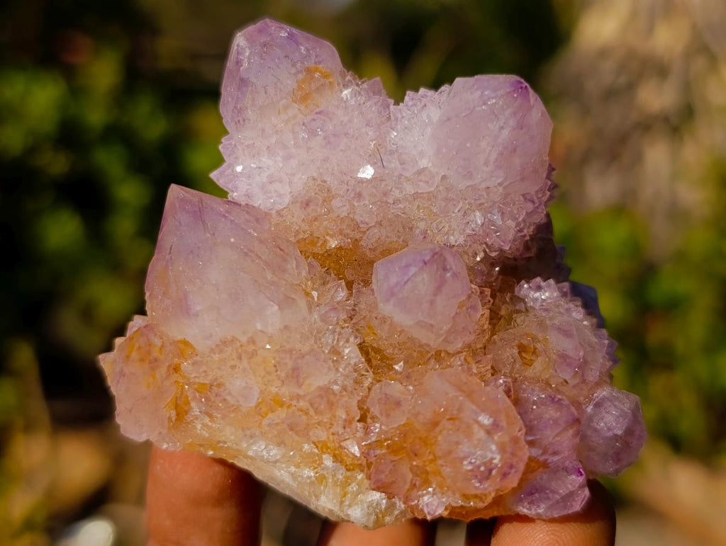 Natural Spirit Ametrine Clusters x 6 From Boekenhouthoek, South Africa - Toprock Gemstones and Minerals 