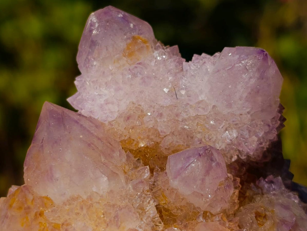 Natural Spirit Ametrine Clusters x 6 From Boekenhouthoek, South Africa - Toprock Gemstones and Minerals 