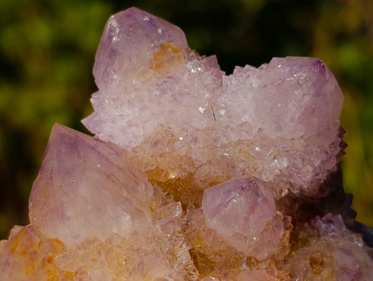 Natural Spirit Ametrine Clusters x 6 From Boekenhouthoek, South Africa - Toprock Gemstones and Minerals 