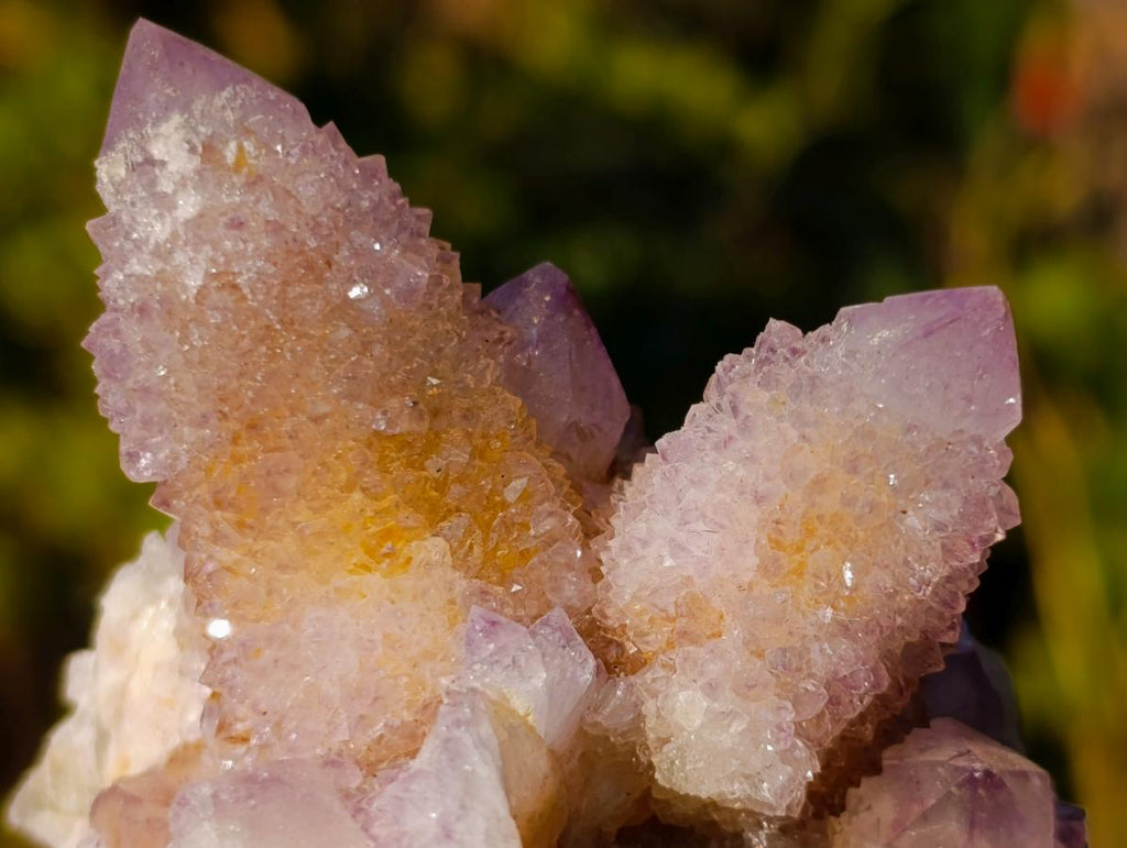 Natural Spirit Ametrine Clusters x 6 From Boekenhouthoek, South Africa - Toprock Gemstones and Minerals 