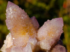 Natural Spirit Ametrine Clusters x 6 From Boekenhouthoek, South Africa - Toprock Gemstones and Minerals 