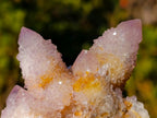 Natural Spirit Ametrine Clusters x 6 From Boekenhouthoek, South Africa - Toprock Gemstones and Minerals 
