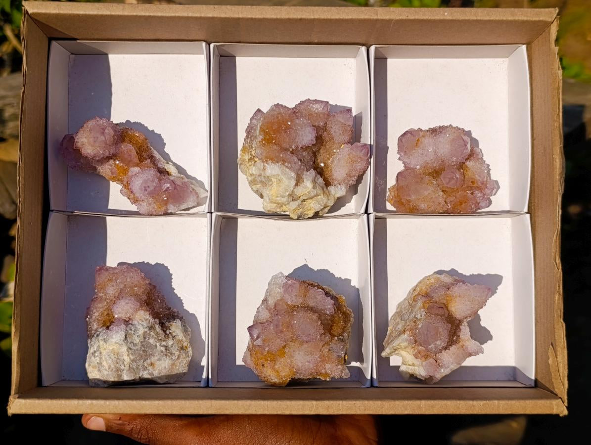 Natural Spirit Ametrine Clusters x 6 From Boekenhouthoek, South Africa - Toprock Gemstones and Minerals 