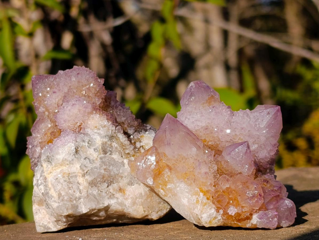 Natural Spirit Ametrine Clusters x 6 From Boekenhouthoek, South Africa - Toprock Gemstones and Minerals 