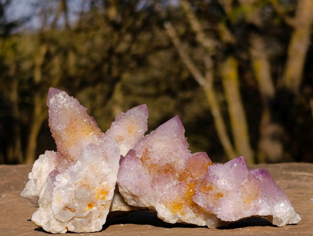 Natural Spirit Ametrine Clusters x 6 From Boekenhouthoek, South Africa - Toprock Gemstones and Minerals 