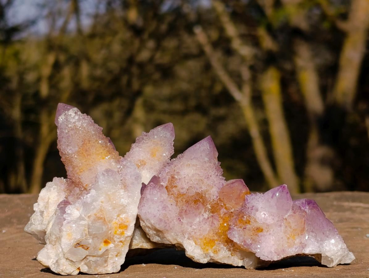 Natural Spirit Ametrine Clusters x 6 From Boekenhouthoek, South Africa - Toprock Gemstones and Minerals 