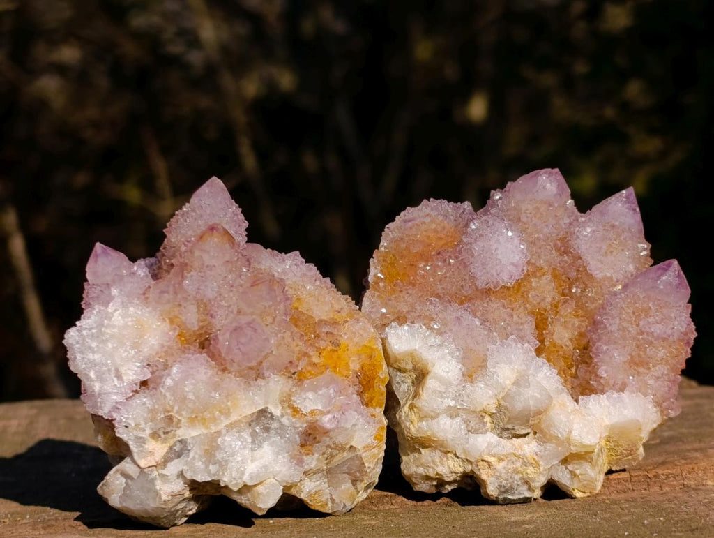 Natural Spirit Ametrine Clusters x 6 From Boekenhouthoek, South Africa - Toprock Gemstones and Minerals 