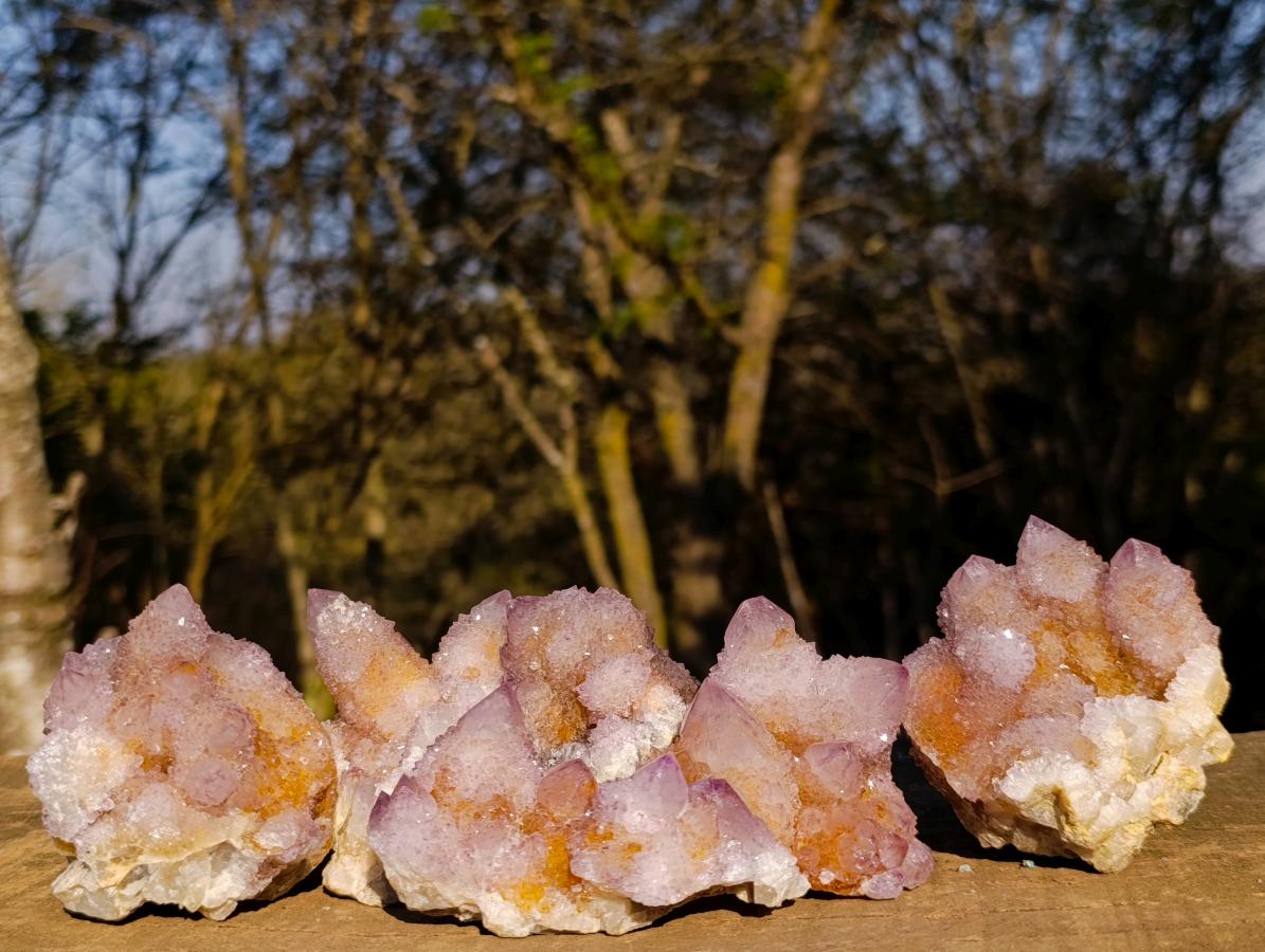 Natural Spirit Ametrine Clusters x 6 From Boekenhouthoek, South Africa - Toprock Gemstones and Minerals 