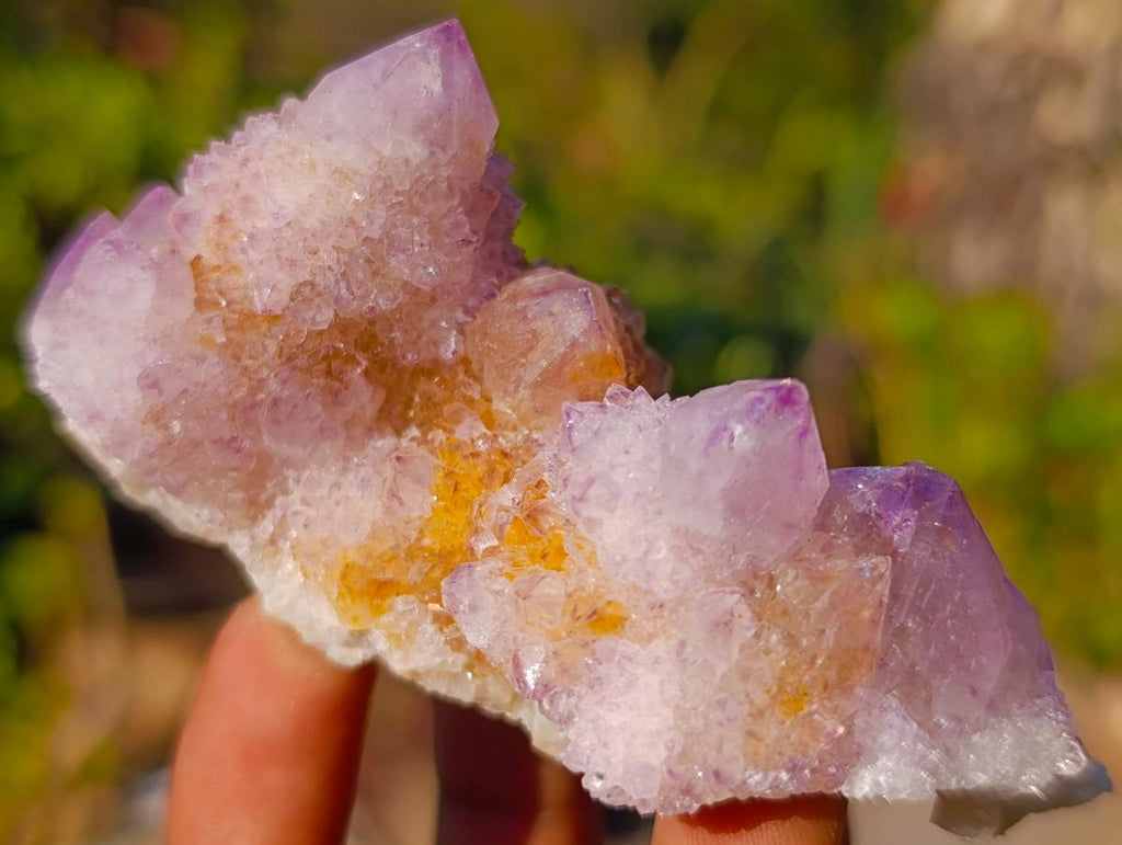 Natural Spirit Ametrine Clusters x 6 From Boekenhouthoek, South Africa - Toprock Gemstones and Minerals 